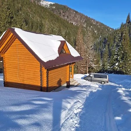 Holiday home шепіт карпат 2
