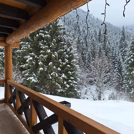 шепіт карпат 2 * Synevyrs'ka Polyana