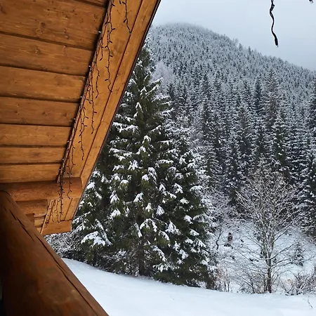 шепіт карпат 2 Holiday home *
