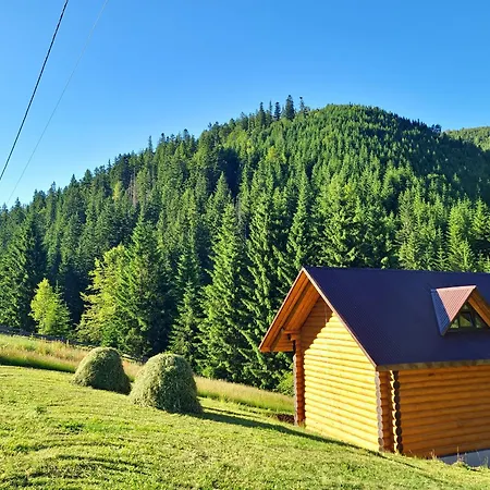 шепіт карпат 2 度假居