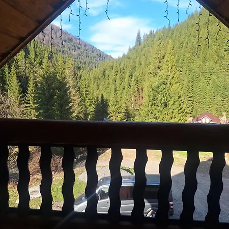 Vakantiehuis шепіт карпат 2 Synevyrsʼka Polyana