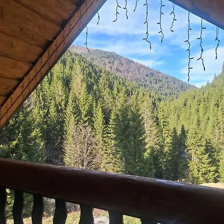 Vakantiehuis шепіт карпат 2 Synevyrsʼka Polyana