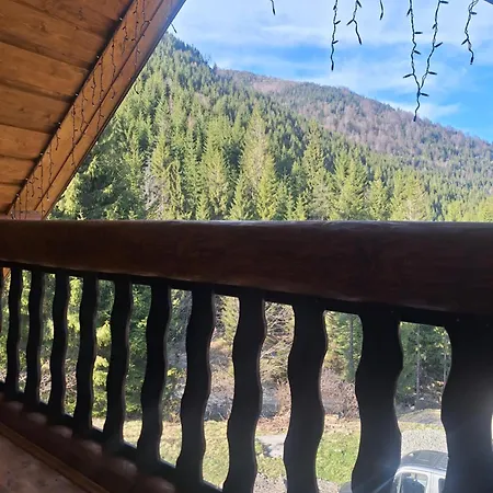 Holiday home шепіт карпат 2