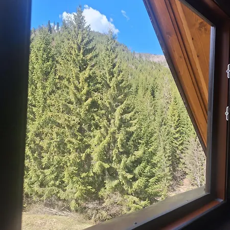 шепіт карпат 2 Holiday home