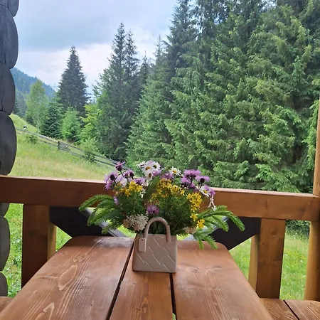 Vakantiehuis шепіт карпат 2 *