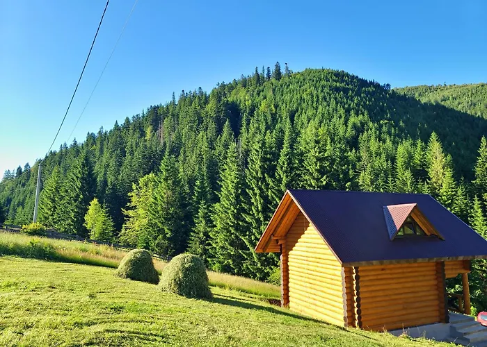 шепіт карпат 2 度假居