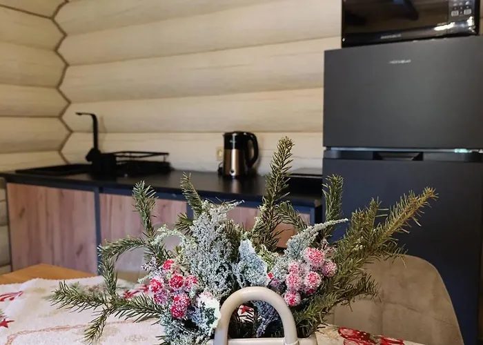 шепіт карпат 2 度假居 *