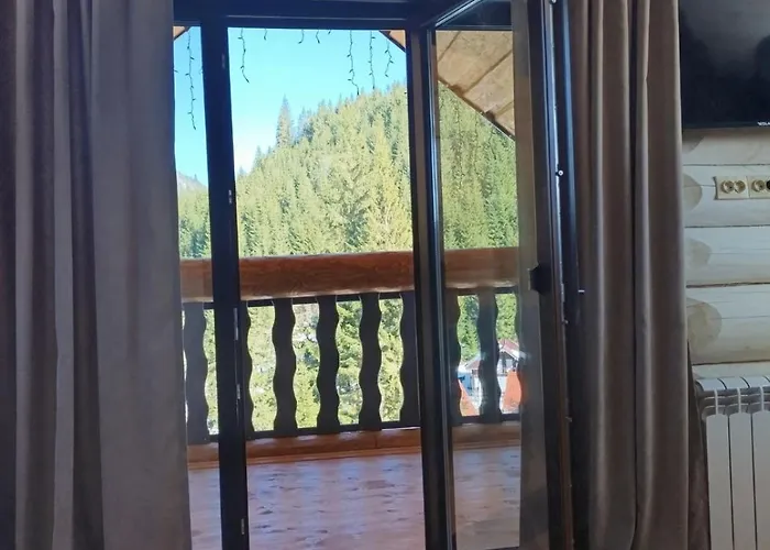 шепіт карпат 2 度假居 *
