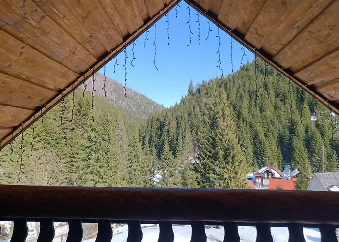 度假居 шепіт карпат 2 Synevyrsʼka Polyana